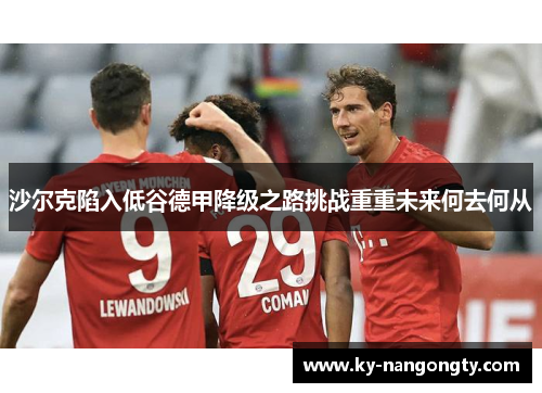 沙尔克陷入低谷德甲降级之路挑战重重未来何去何从