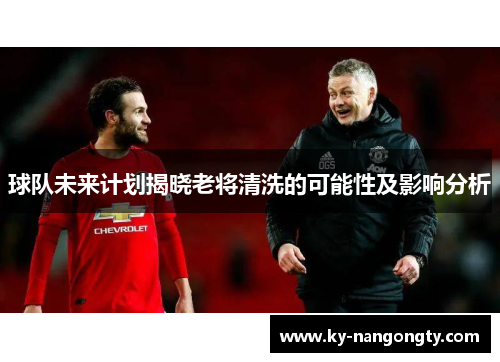球队未来计划揭晓老将清洗的可能性及影响分析